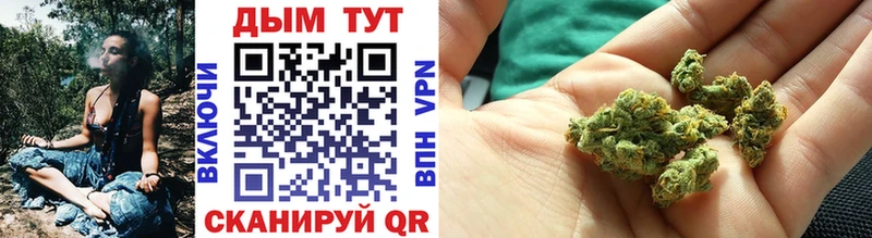 darknet телеграм  Бикин  Конопля SATIVA & INDICA 